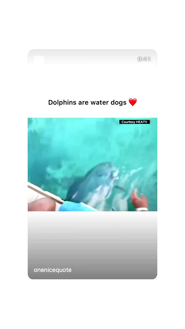 liashaked archive video preview