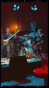 roni_ackerman Altpins Profile Picture