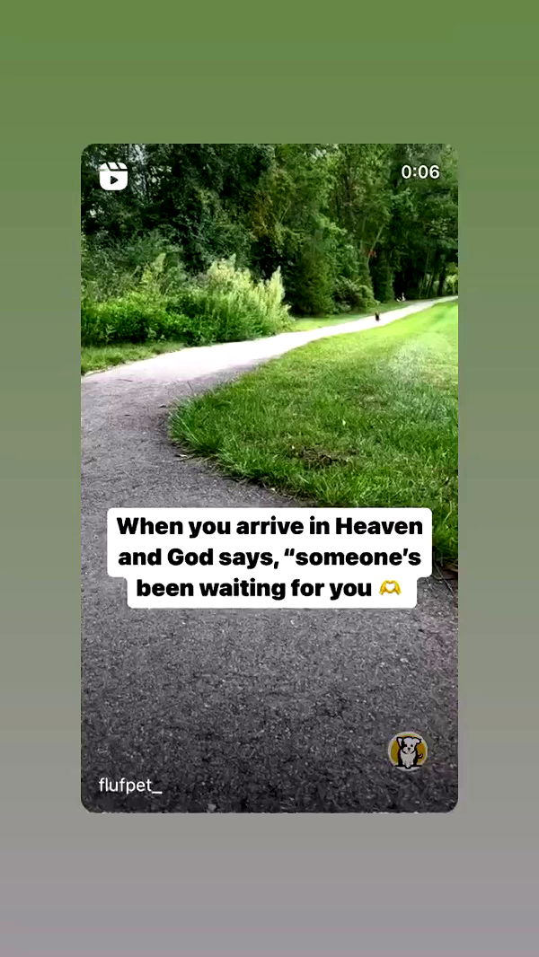 liashaked archive video preview