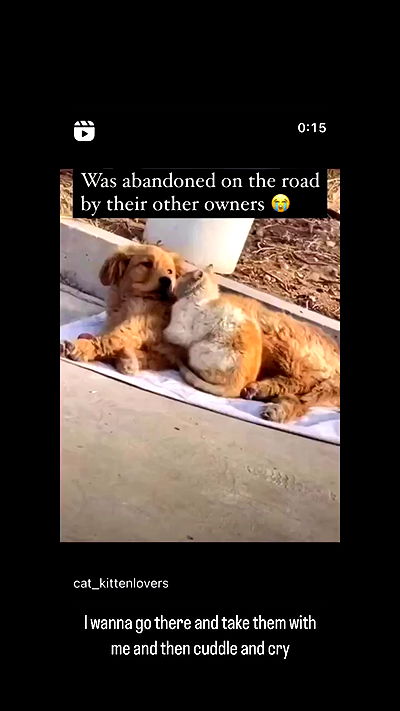 liashaked liashaked archive video