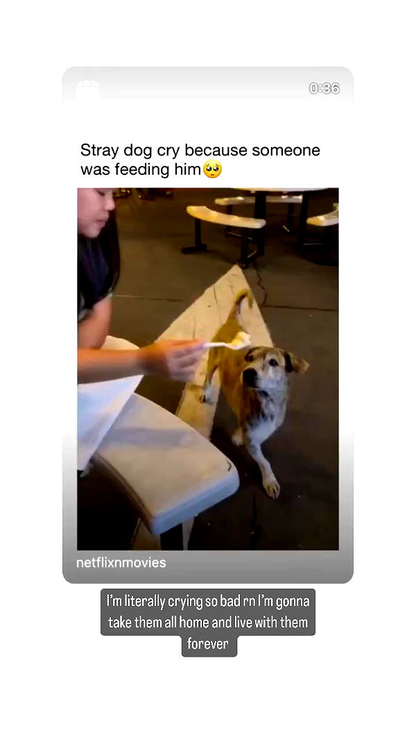 liashaked archive video preview