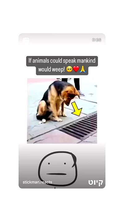 liashaked liashaked archive video