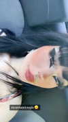 algofobica Altpins Profile Picture