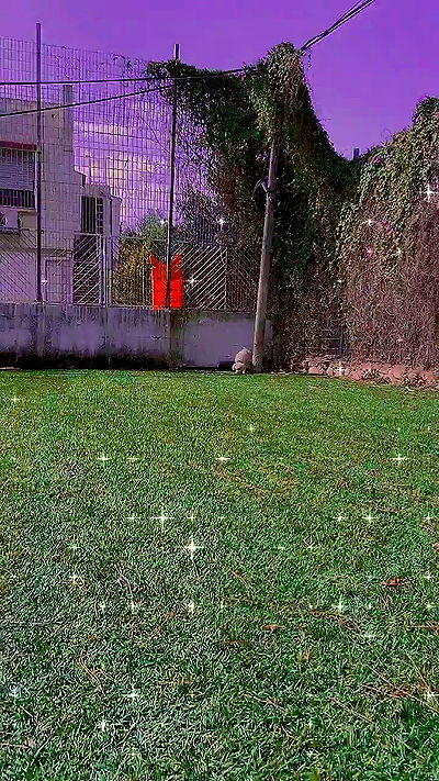 feelbetterinmysweater feelbetterinmysweater archive video