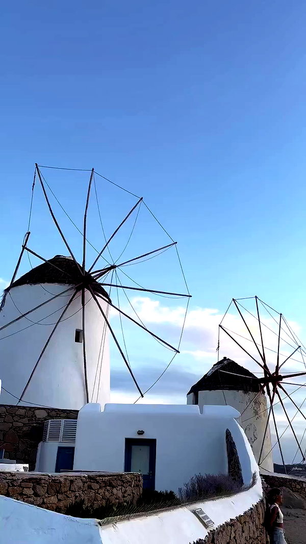 roni_ackerman archive video preview