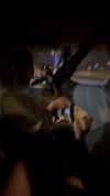 yael_p_16 Altpins Profile Picture