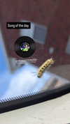 zz.eazoning Altpins Profile Picture