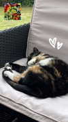 tarantvlagrll Altpins Profile Picture
