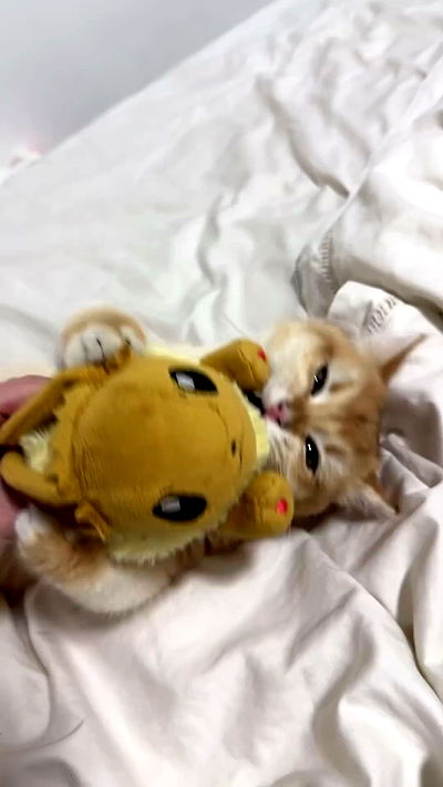 itsilanosh itsilanosh archive video