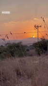romi_azruel Altpins Profile Picture