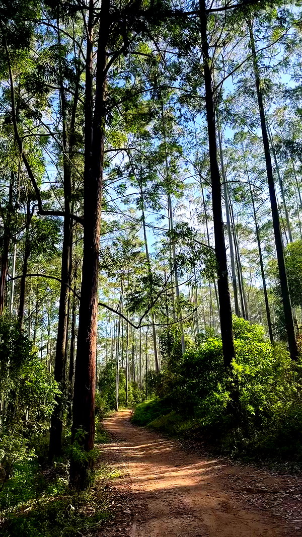 noa_mendel_ archive video preview