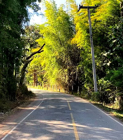 yam_adler yam_adler archive video