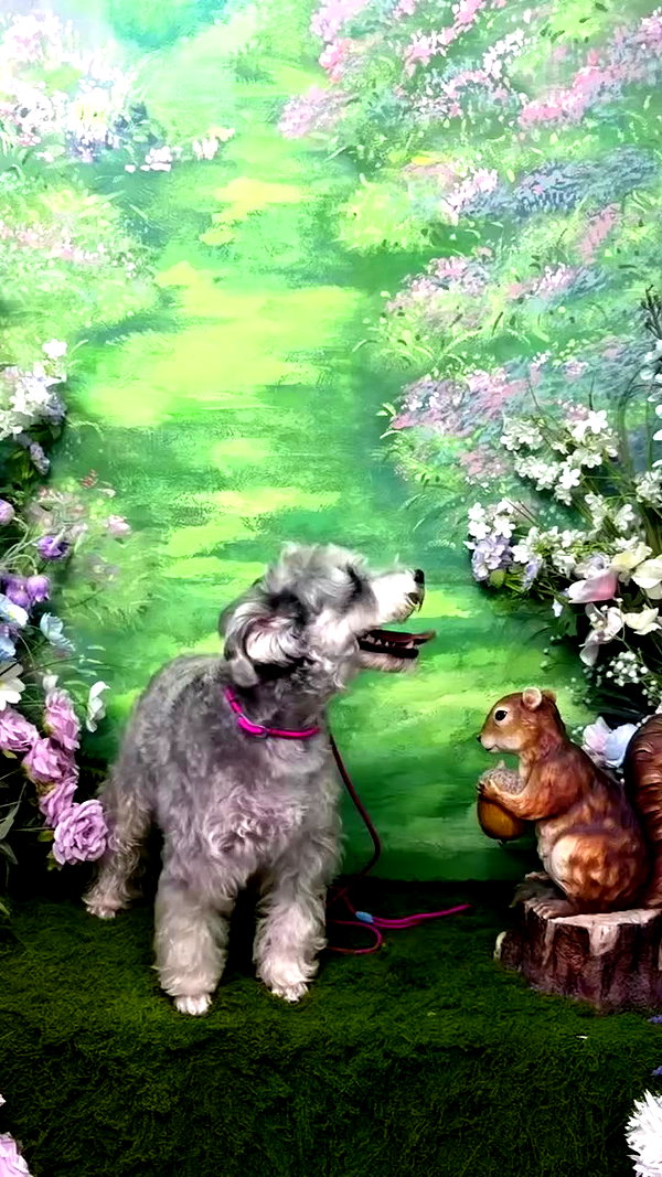 ceceyjwww archive video preview