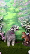 ceceyjwww Altpins Profile Picture