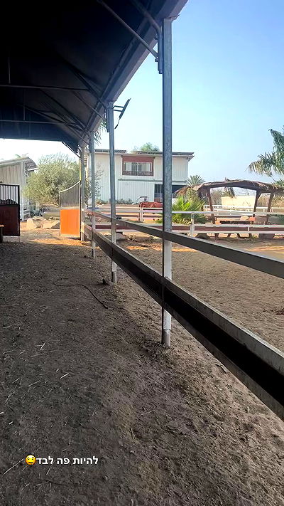 _wizardmidget_ _wizardmidget_ archive video