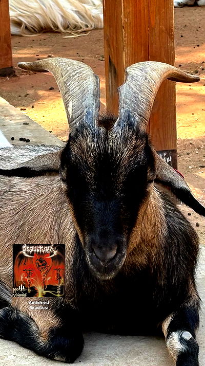 noyaislilith333 noyaislilith333 archive video