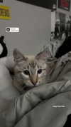 valeriecastellano Altpins Profile Picture