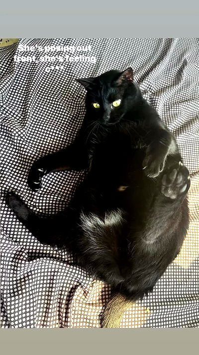 hellokittyangel666 hellokittyangel666 archive video