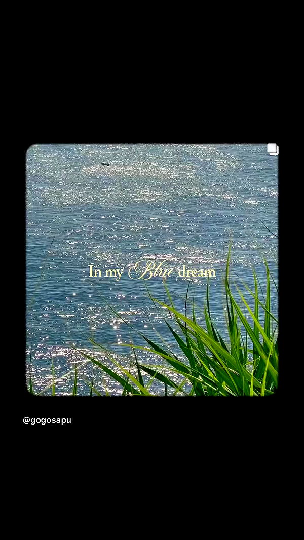 liashaked archive video preview