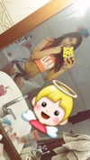 agam_yifrach Altpins Profile Picture