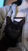 lyracr0w0 Altpins Profile Picture