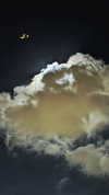 sofiya.pl Altpins Profile Picture