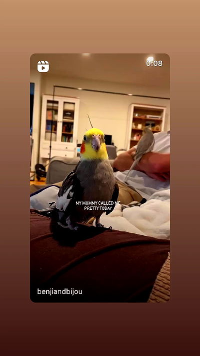 tinapavlov.sky tinapavlov.sky archive video