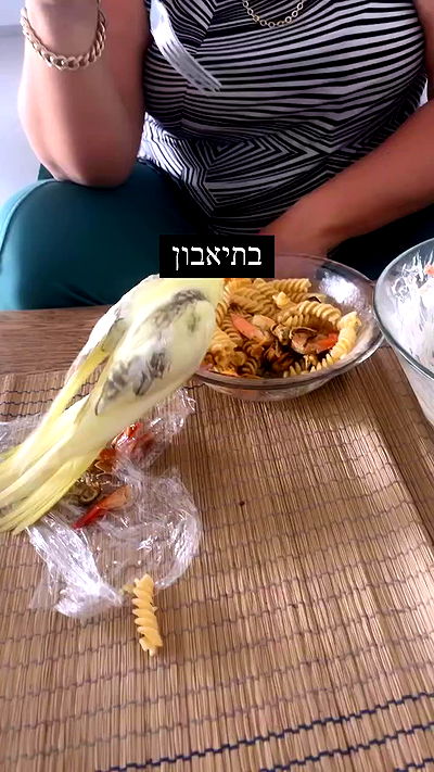 tinapavlov.sky tinapavlov.sky archive video