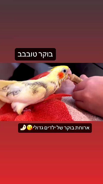 tinapavlov.sky tinapavlov.sky archive video