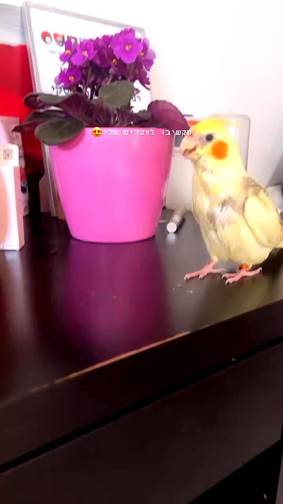 tinapavlov.sky tinapavlov.sky archive video