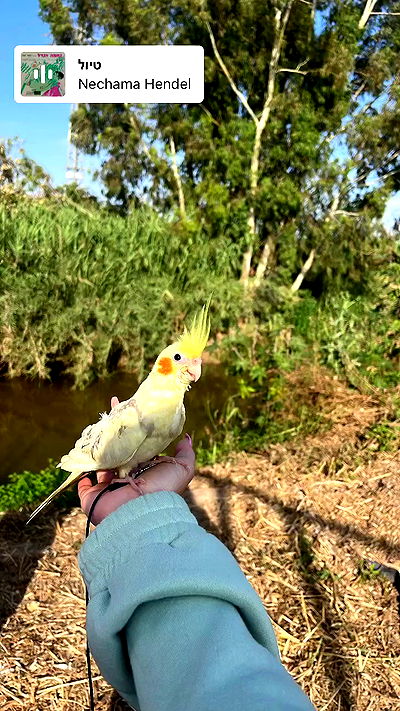 tinapavlov.sky tinapavlov.sky archive video