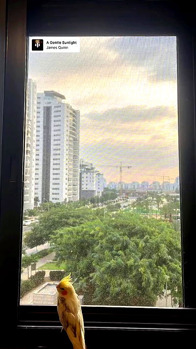 tinapavlov.sky tinapavlov.sky archive video