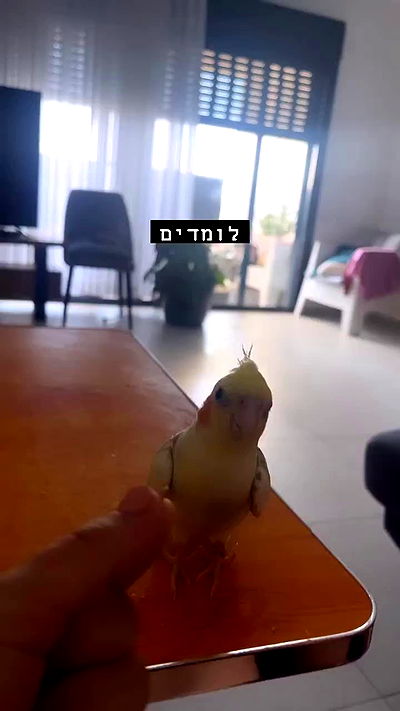 tinapavlov.sky tinapavlov.sky archive video