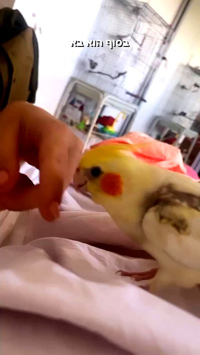 tinapavlov.sky tinapavlov.sky archive video