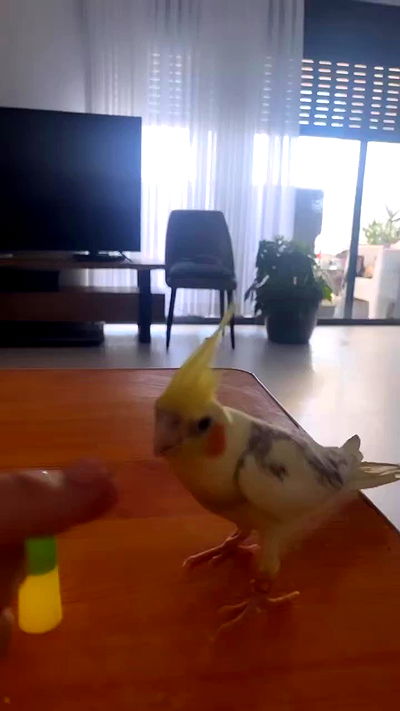 tinapavlov.sky tinapavlov.sky archive video