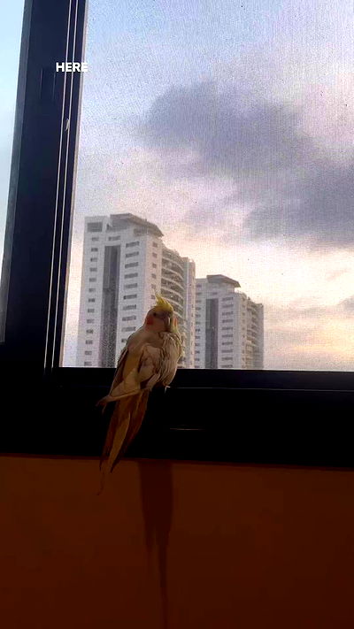 tinapavlov.sky tinapavlov.sky archive video