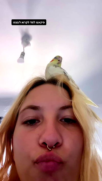 tinapavlov.sky tinapavlov.sky archive video