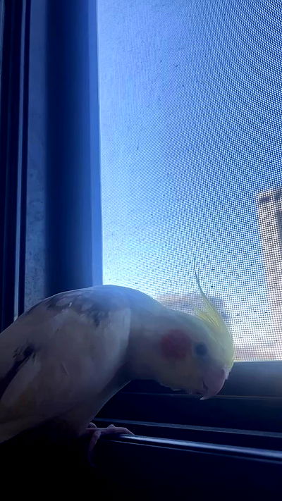 tinapavlov.sky tinapavlov.sky archive video