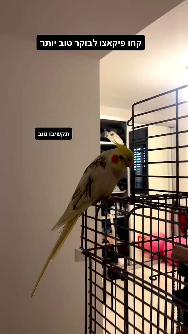 tinapavlov.sky archive video preview