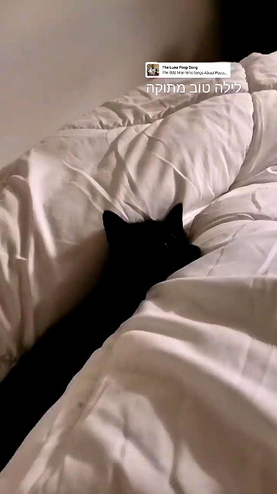 tinapavlov.sky tinapavlov.sky archive video