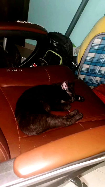 tinapavlov.sky tinapavlov.sky archive video