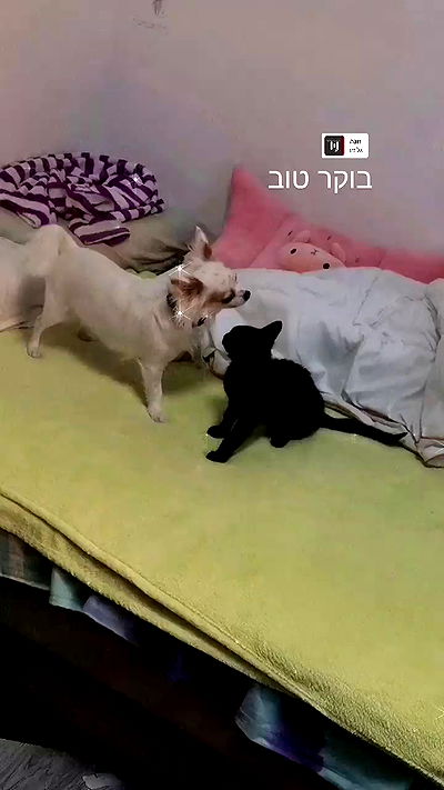 tinapavlov.sky tinapavlov.sky archive video