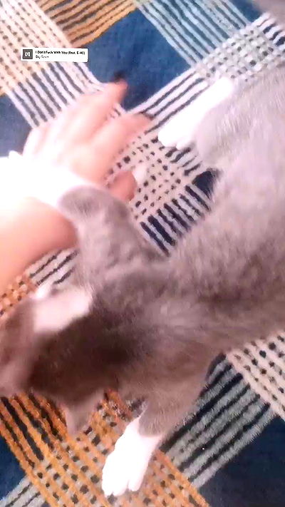 tinapavlov.sky tinapavlov.sky archive video