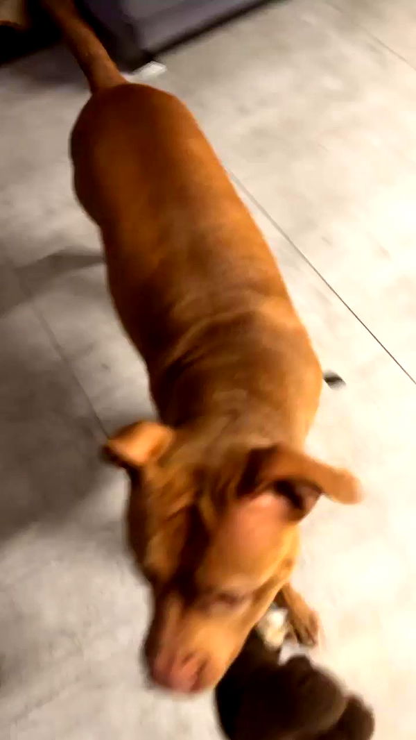 tinapavlov.sky archive video preview