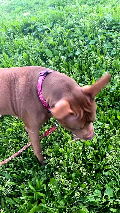 tinapavlov.sky tinapavlov.sky archive video