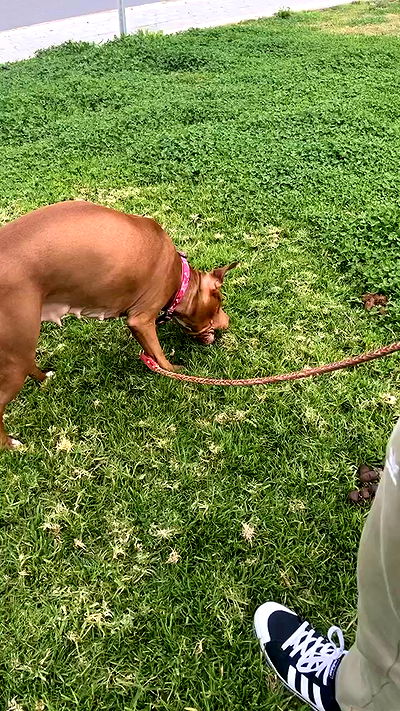 tinapavlov.sky tinapavlov.sky archive video