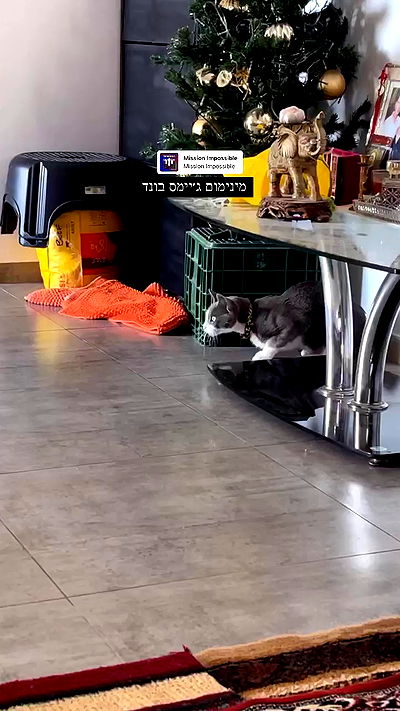 tinapavlov.sky tinapavlov.sky archive video