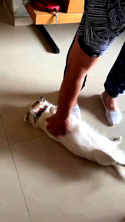 tinapavlov.sky tinapavlov.sky archive video