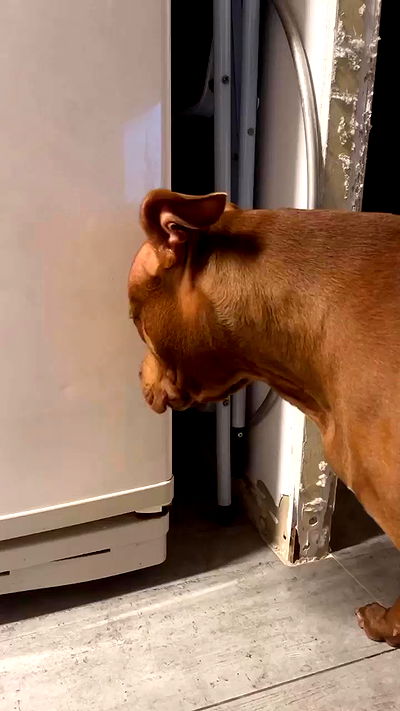 tinapavlov.sky tinapavlov.sky archive video