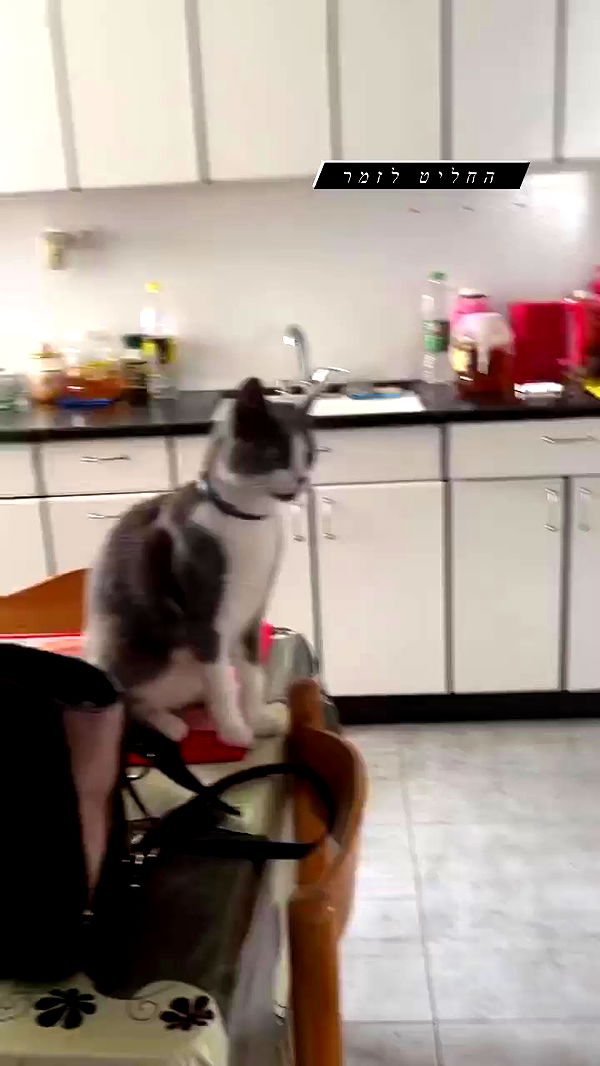 tinapavlov.sky archive video preview